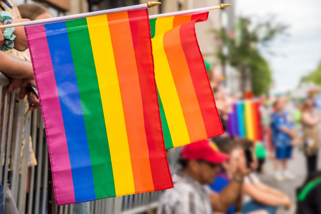 Pride flag during pride march